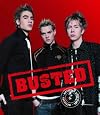 Busted the Official Book