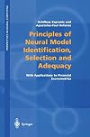 Principles of Neural Model Identification, Selection and Adequacy: With Applications to Financial Econometrics (Perspect