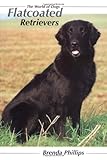 Flatcoated Retrievers The World Of Dogs