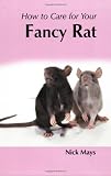 How To Care For Your Fancy Rat