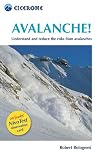 Avalanche!: Assess and reduce risks from Avalanches (Cicerone)