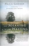 The Meaning is in the Waiting: The Spirit of Advent