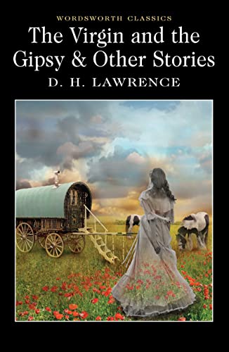 The Virgin and the Gipsy & Other Stories book cover