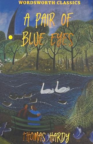 A Pair of Blue Eyes book cover