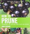 How to Prune