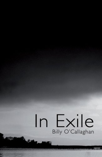 In Exile book cover