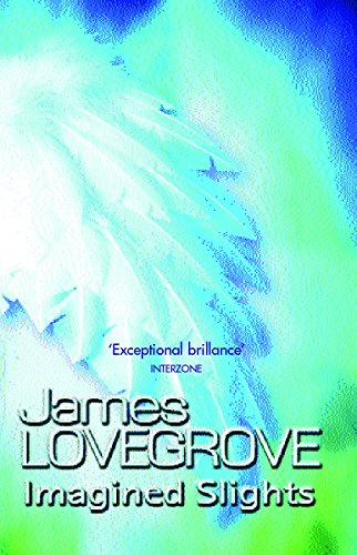 Imagined Slights book cover