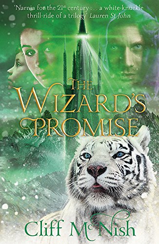 Cover of The Wizard's Promise