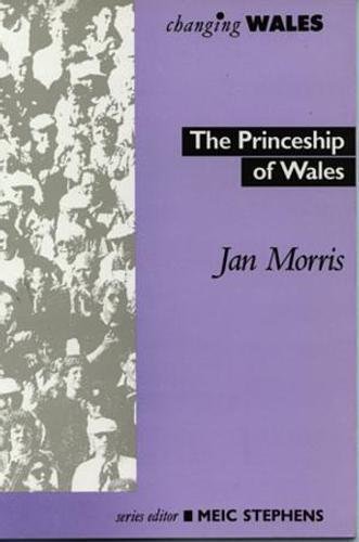 The Princeship of Wales book cover