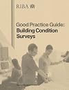 Building Condition Surveys (Riba Good Practice Guides)