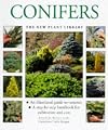 Conifers (New Plant Library)