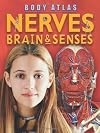 Brain, Nerves, and Senses (Understanding the Human Body)