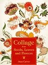 Collage from Seeds, Leaves and Flowers