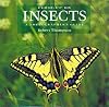 Close-Up on Insects: A Photographer's Guide