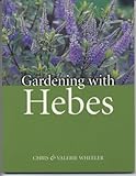 Gardening With Hebes