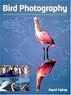Bird Photography: Choosing the Best Destinations-Planning a Trip-Taking Great Photographs