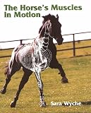 The Horses Muscles In Motion
