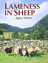 Lameness in Sheep