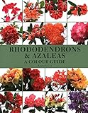 Rhododendrons Azaleas A Colour Guide