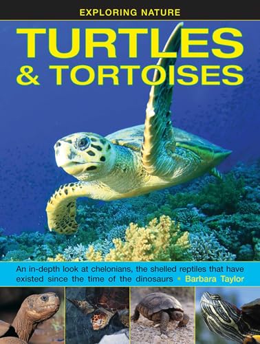 Cover of Turtles and Tortoises