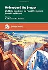 Underground Gas Storage: Worldwide Experiences and Future Development in the UK and Europe - Special Publication no 313 (Geological Society Special Publication)