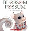 Blossom Possum : the sky is falling down-under.