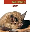 Bats (New Zealand wild)