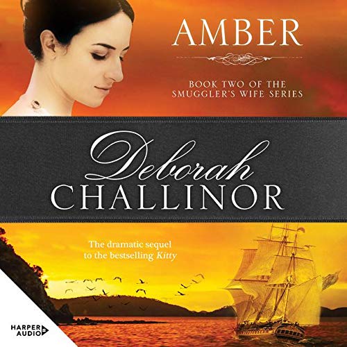 Amber book cover