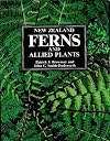 New Zealand ferns and allied plants