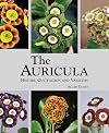 The Auricula: History, Cultivation and Varieties