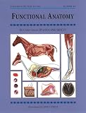 Functional Anatomy