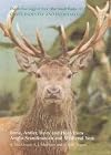 Bone, Antler, Ivory and Horn from Anglo-Scandinavian and Medieval York