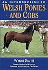 An Introduction to Welsh Ponies and Cobs (Horses & Ponies)