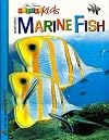 Australian Marine Fish : Steve Parish Nature Kids
