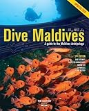 Dive Maldives A Guide To The Maldives Archipelago