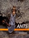Ants of New Zealand