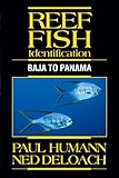 Reef Fish Identification Baja To Panama