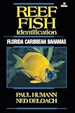 Reef Fish Identification Florida Caribbean Bahamas 4th Edition Reef Set