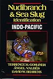 Nudibranch Sea Slug Identification Indopacific