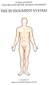 The Integument System (Organs of the Human Anatomy) (Systems of the Human Anatomy)