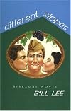 Different Slopes: A Bisexual Man's Novel