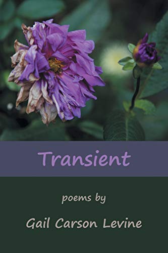 Transient book cover