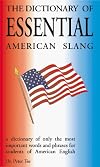 The Dictionary of Essential American Slang
