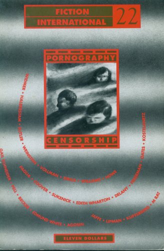 Fiction International 22 book cover