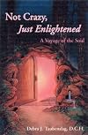 Not Crazy, Just Enlightened: A Voyage of the Soul