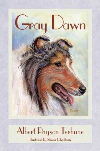 Gray Dawn book cover