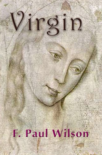 Virgin book cover