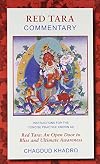 Red Tara Commentary