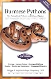 Burmese Pythons Plus Reticulated Pythons And Related Species
