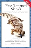 Bluetongued Skinks Advanced Vivarium Systems